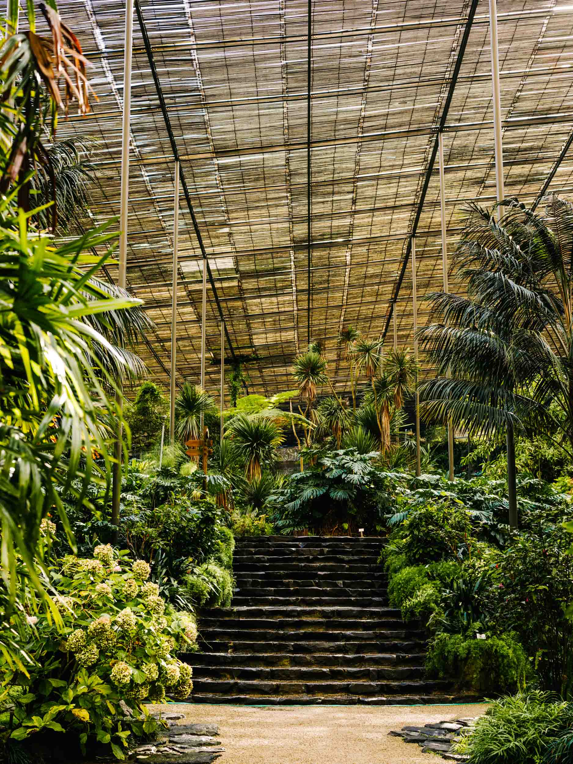 Estufa Fria Botanic Garden