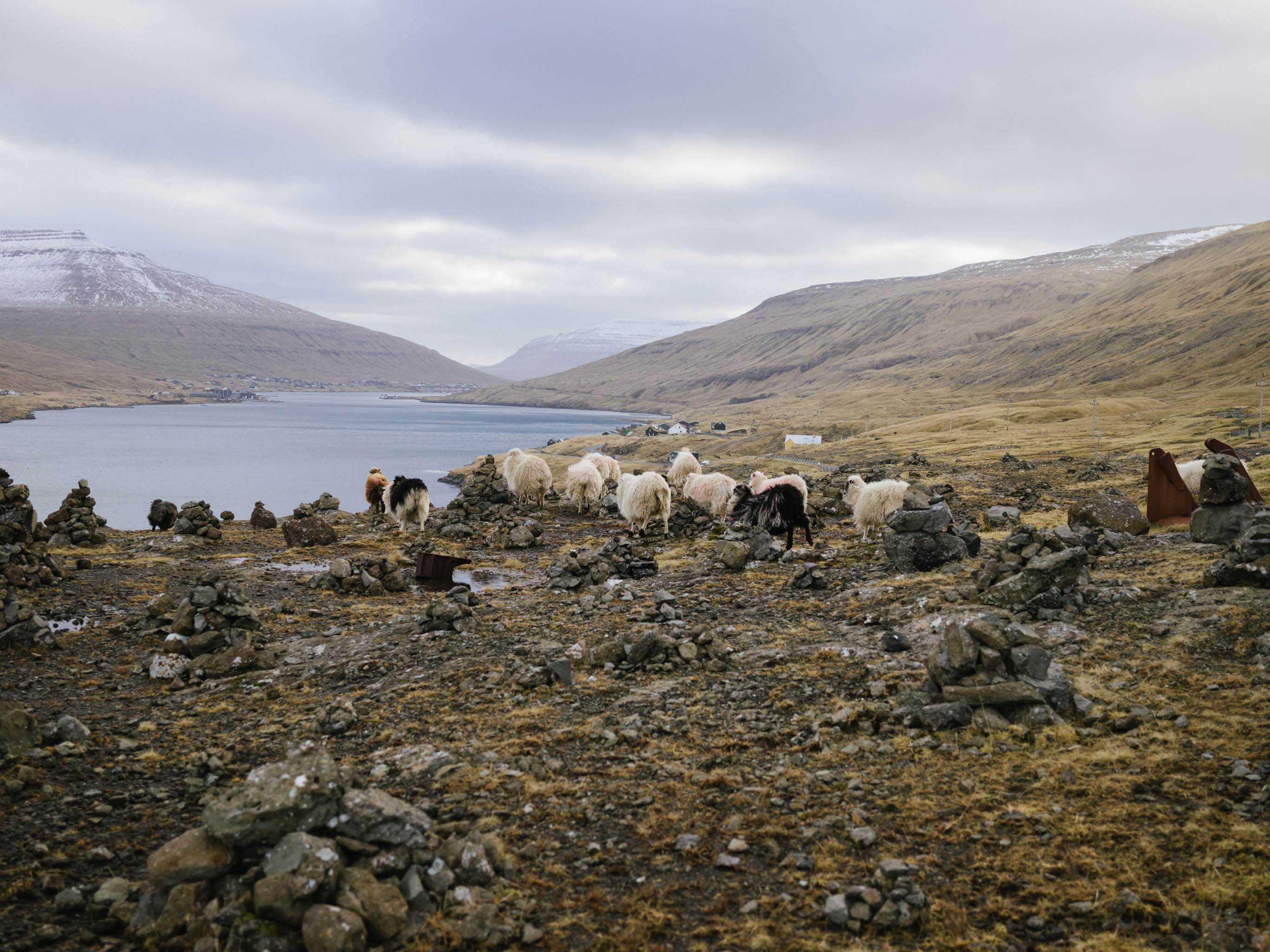 Faroe Islands