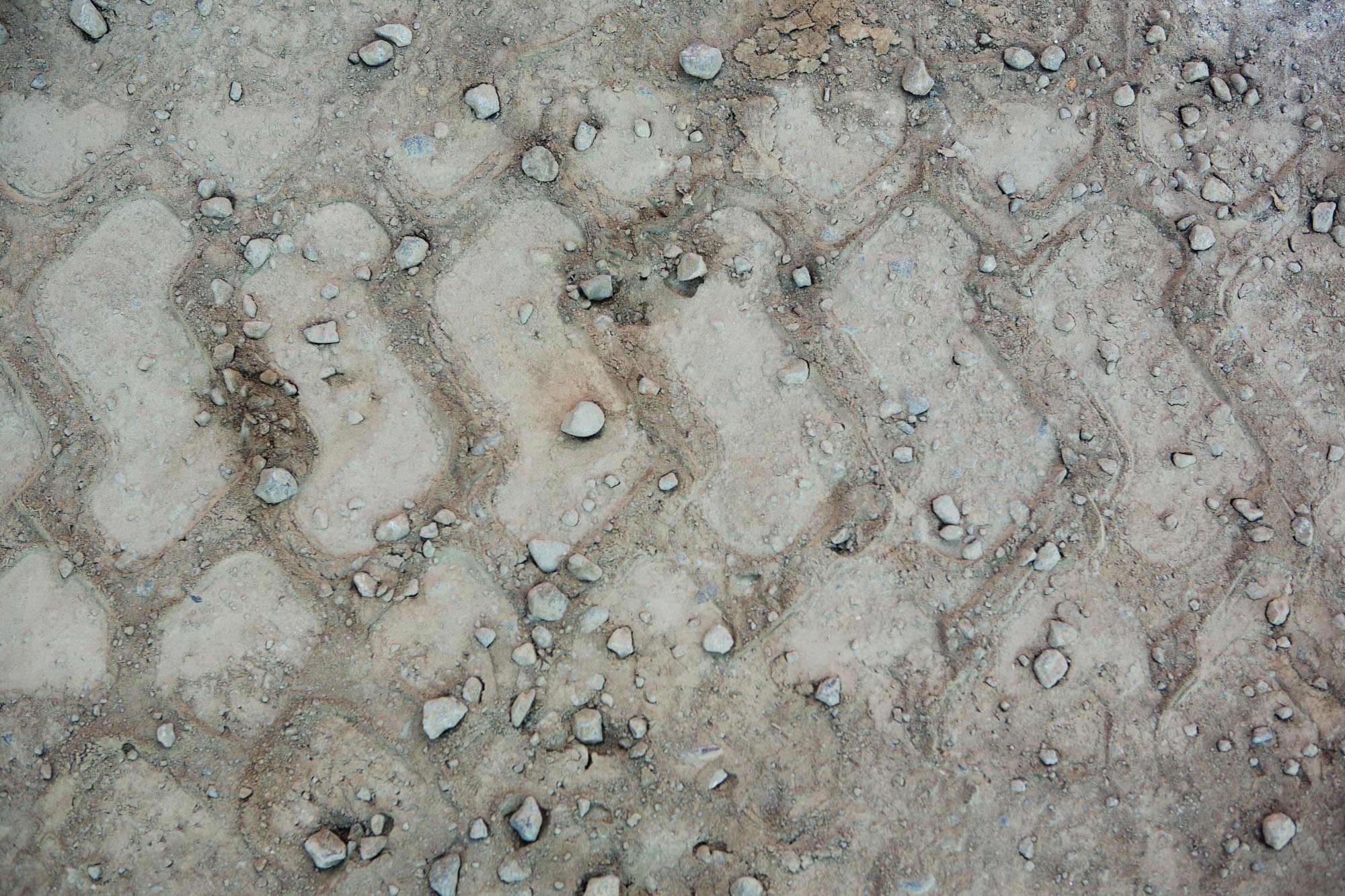 Tire Tracks