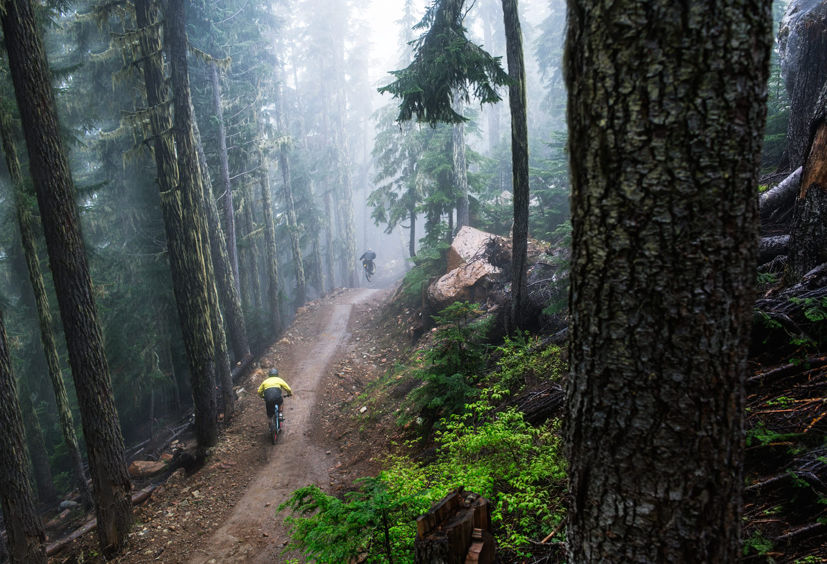 Mountain Biking in the Forest