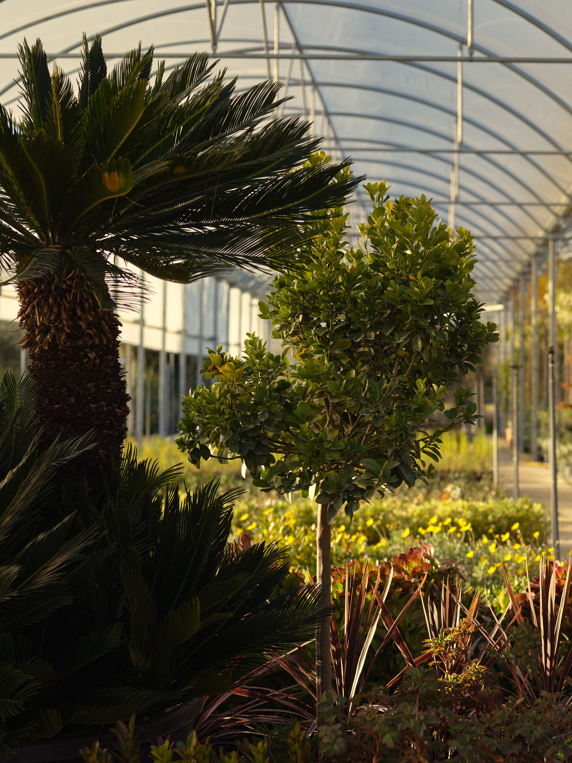 Nursery